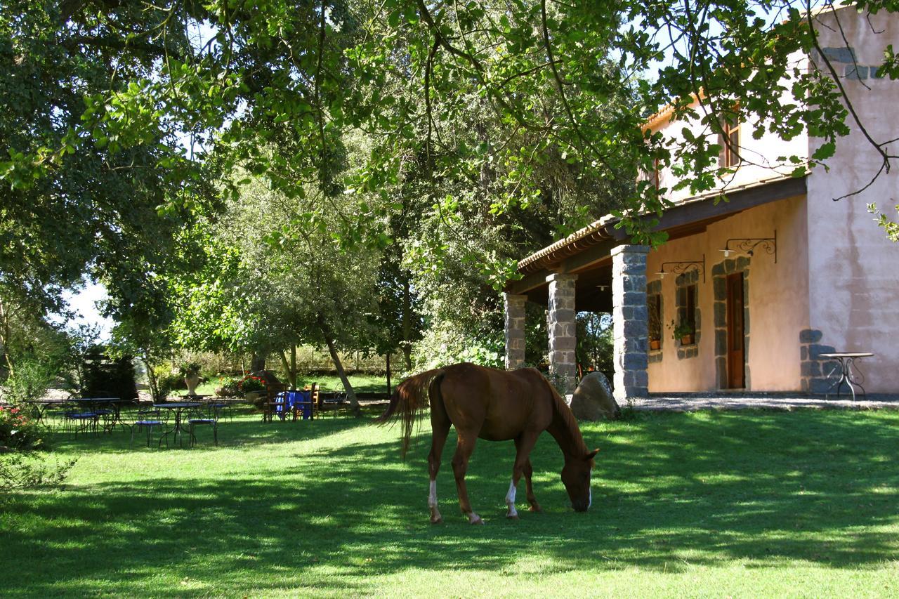 Country Hotel Mandra Edera Abbasanta المظهر الخارجي الصورة