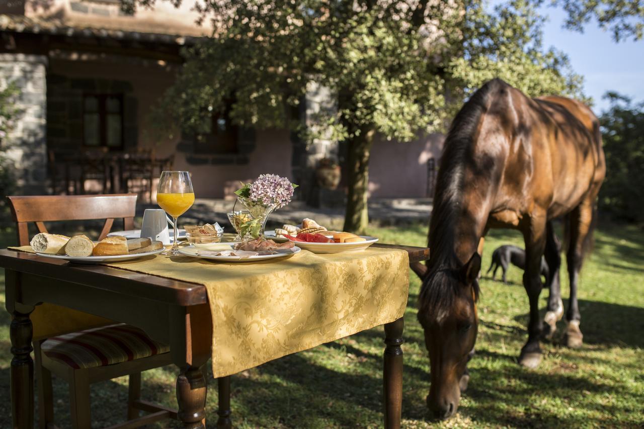 Country Hotel Mandra Edera Abbasanta المظهر الخارجي الصورة